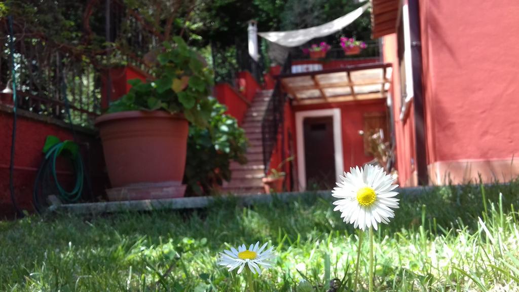 B&B Il Giardino Delle Camelie Palestrina Ngoại thất bức ảnh